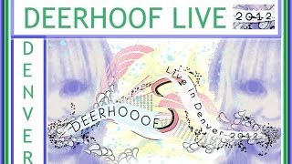 Deerhoof Denver 2012 | Eyebright | Candyhands | Grin  Multicam with Super 8!