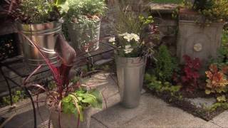 How To Turn A Galvanized Bucket Into A Container Garden