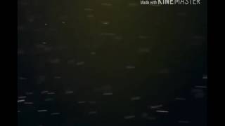 SOME MORE OF DAT COD ACTION