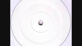 MARTIN SOLVEIG VS RUFFNECK  -  EVERYBODY BE SOMEBODY - LESLIE 01