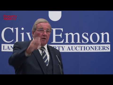 Auctions insights: Clive Emson