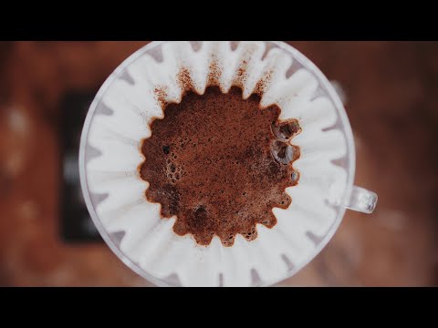V60 Long - Kaffeezubereitung