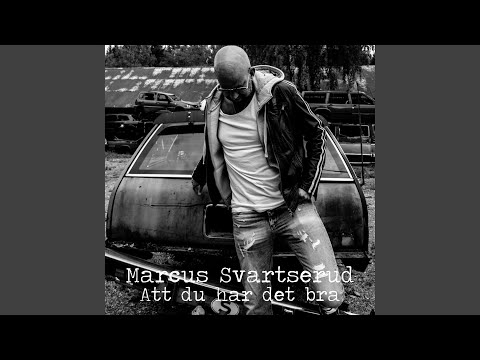 Att Du Har Det Bra - Marcus Svartserud