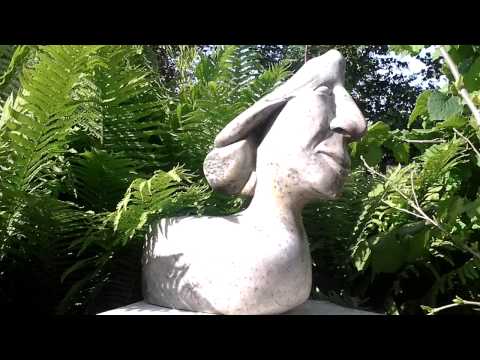 Santo Daime. Eu pedi e tive o toque-Luiz Mendes.