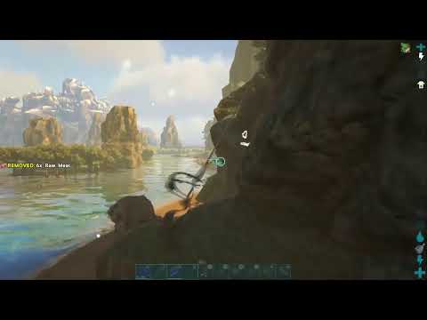 I CLAIMED CENTER PEARL CAVE Day 1 25x Cluster