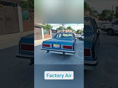 Thumbnail for 1981 Mexican Spec Ford Fairmont Elite - Top Of The Line - V8 - Automatic - Factory Air - For Sale by Ford Fairmont