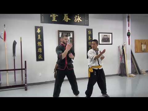 Wing Chun Sil Lim Tao Application - Step by Step - SECTION 1 - LESSON 3A