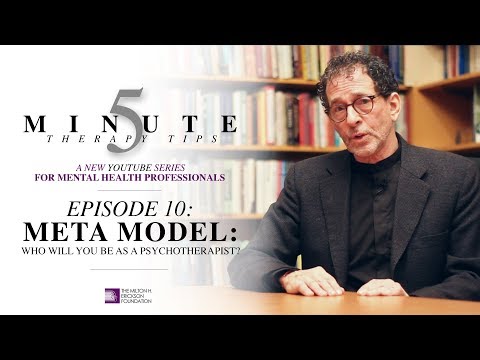 5 Minute Therapy Tips - Episode 10: Meta Model - Who Will You Be As A Psychotherapist?