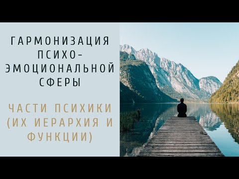 1.3 Что такое части психики? Их иерархия и функции