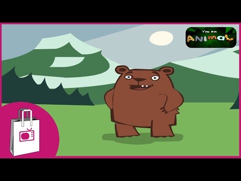 I'm a Bear