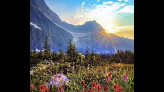 Archers of Loaf "Scenic Pastures" 45-minute remix version