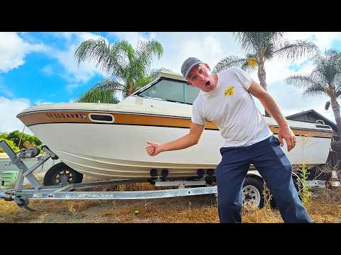 We Discovered 50,000 Bees In This Boat!