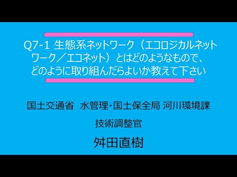 ガビアリ科 - 定義