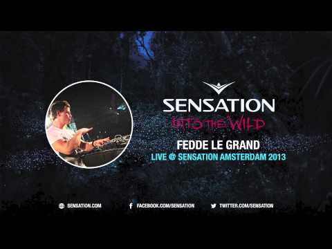 Fedde le Grand - Live @ Sensation Amsterdam 2013