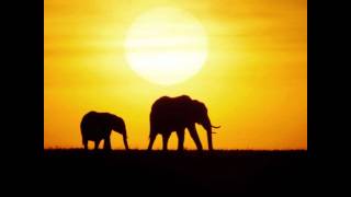 Luis Alberto Spinetta y los Socios del Desierto - Paraíso