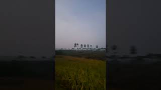 Download lagu nyubuh #video #music #nyunda #pepeling #nasehat #nasihatterbaik #sundanis #food #ayampedaging mp3