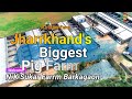 Youtube First Video Nk Sukar Farm Barkagaon Jharkhand Ka Sabse Bada Sukar Farm Nakul Mahto