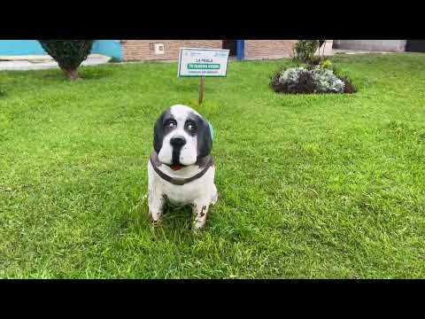 Recorrido por la perla Callao