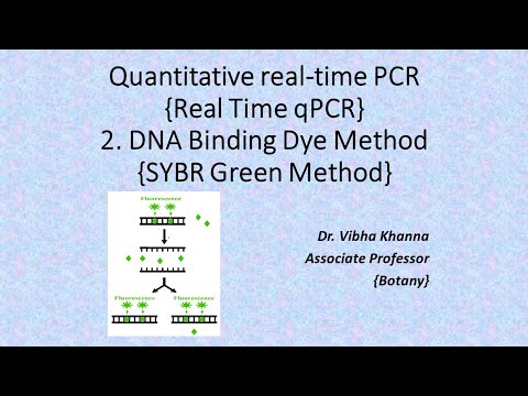 SYBR Green Method of RT PCR