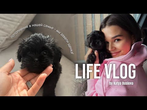 VLOG: пополнение в нашей семье - мы завели щенка! вся история появления и как проходят наши будни!