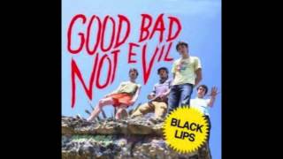 Black Lips Hidden Track from End of &quot;Good Bad Not Evil&quot;