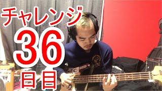 【SKUNKSノボルの】ベース初心者が100日間ベースを弾いたらどれほどれほどうまくなるのか？ 36日目【チャレンジ動画】