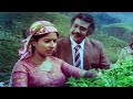 നീ സുനരി നിന്റെ കോച്ചമ്മ നിന്നെക്കാൾ
