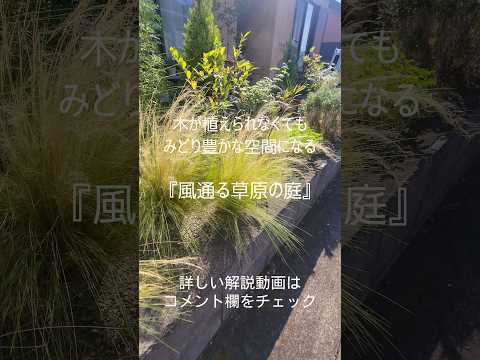 熱波が庭を守る