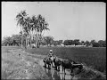 Once Upon A Time In Madras Old Chennai 1945