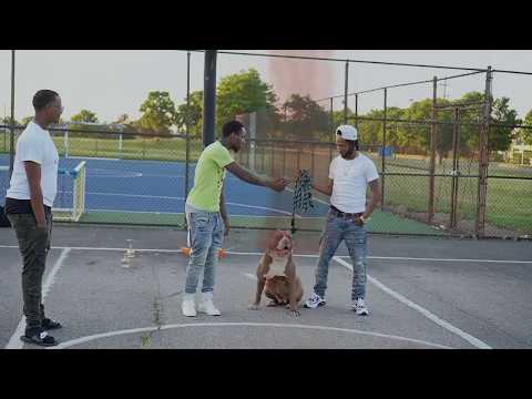 IOU Tae - All Facts ***OFFICIAL MUSIC VIDEO***