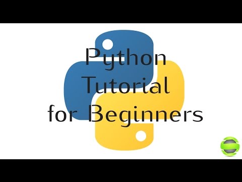 Python Programming Tutorial for Beginners Section 2 If Statement