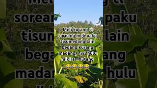 Download lagu #pantun Sunda #lucu mp3
