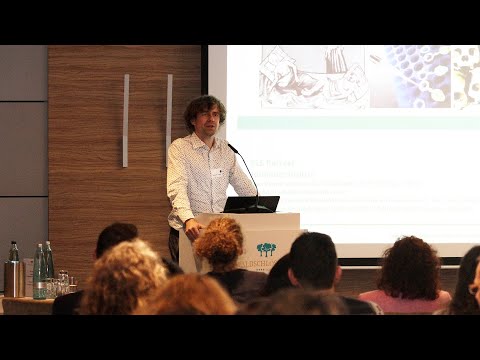 KLS Retreat 2023: Keynote Lecture Johannes Krause