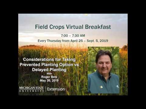 Virtual Breakfast 5-30-19: Considerations for Taking Prevented Planting Option vs Delayed Planting
