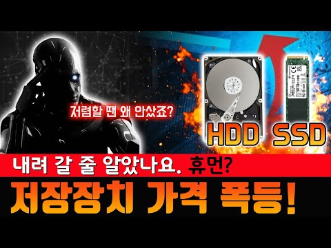 올라간다! 꽉 잡아! (저장장치 가격 급등)