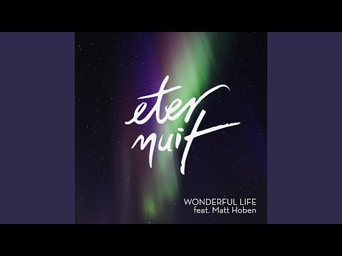 Wonderful Life (feat. Matt Hoben)