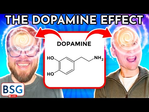 Dopamine: The Molecule of Motivation | Certified Directory