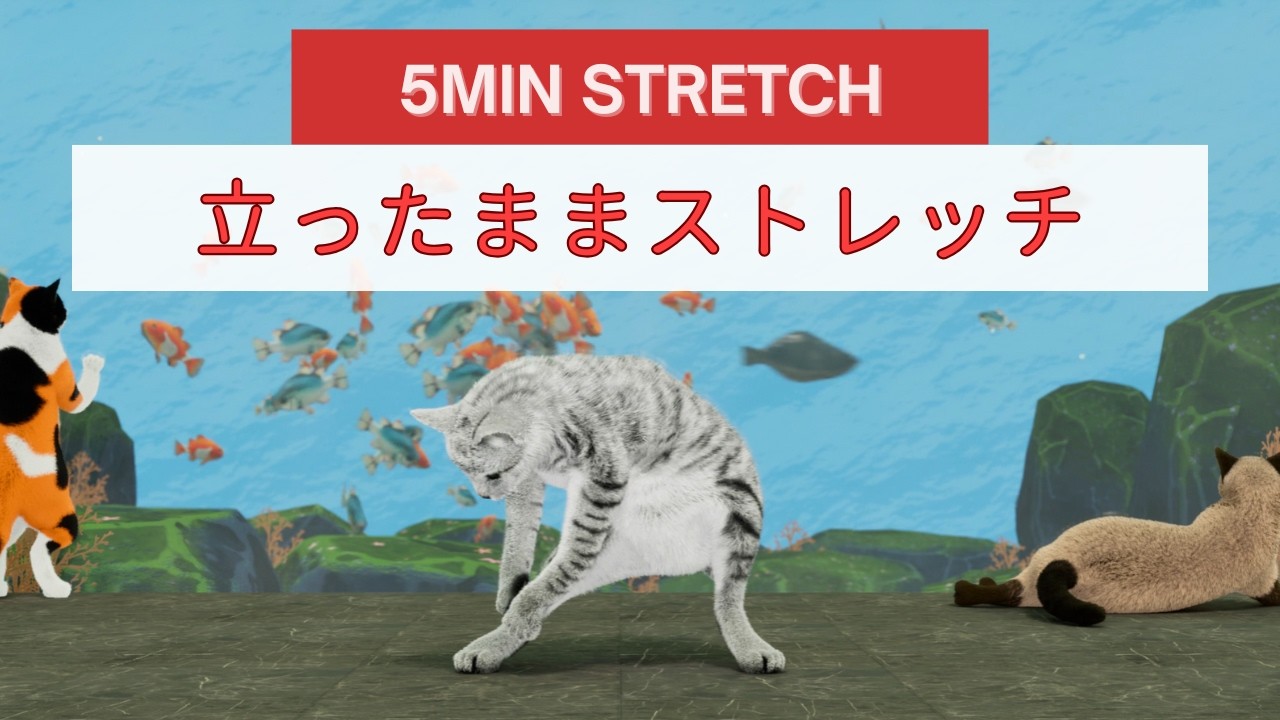 5分立ったままストレッチ🐾クールダウンにもオススメ😸✨