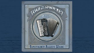 Toad the Wet Sprocket - Something&#39;s Always Wrong (Acoustic)
