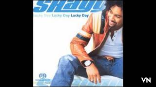 Shaggy - Leave Me Alone.