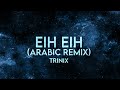 TRINIX - Eih Eih - Sherine Remix Arabic Song [Extended]