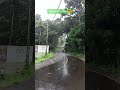 Thar Rain Drive Nature Thar 4x4 Rain Tharlover Onroad Raindrive