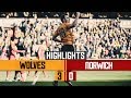 DIOGO JOTA CAN'T STOP SCORING! Wolves 3-0 Norwich City | Highlights