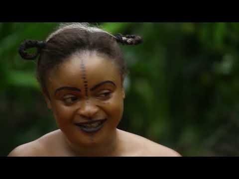 master dibia onyeocha 1 & 2