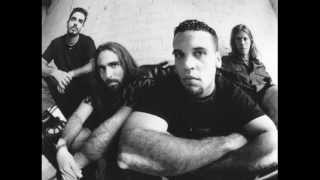 PUYA - spirits in the material world