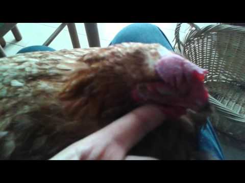 Infiammata nel trattamento mano Gambe doloranti e le cause della schiena
