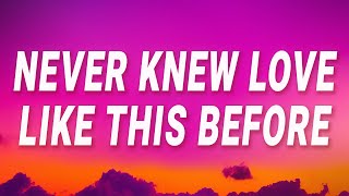 Stephanie Mills - Never Knew Love Like This Before (Lyrics)