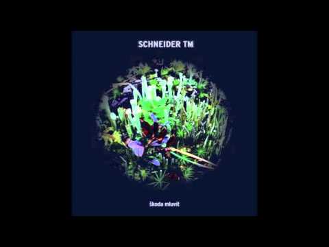 Schneider TM - More Time [2006]