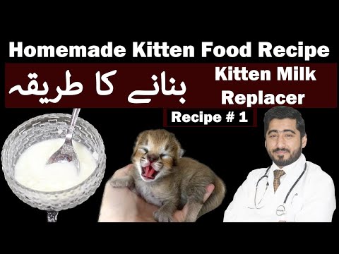 How to Make Homemade Emergency Kitten Food? | Which Milk is good for kittens? | Vet Furqan younas