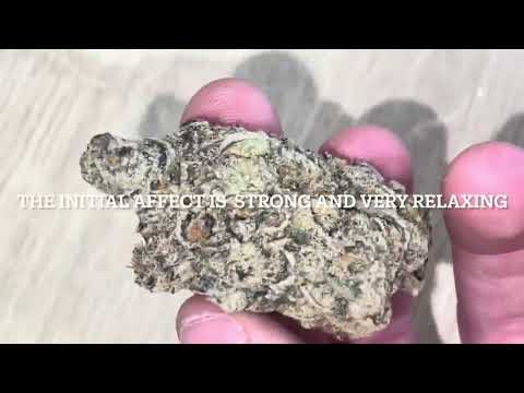 Permanent Fruz 20:1 By Green Karat - Strain Review’s #11